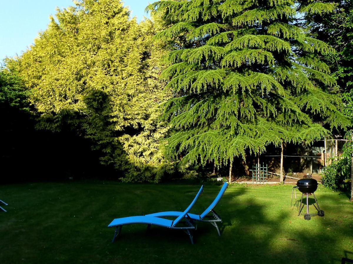 Pleudaniel Ailes Et Iles Bed & Breakfast エクステリア 写真