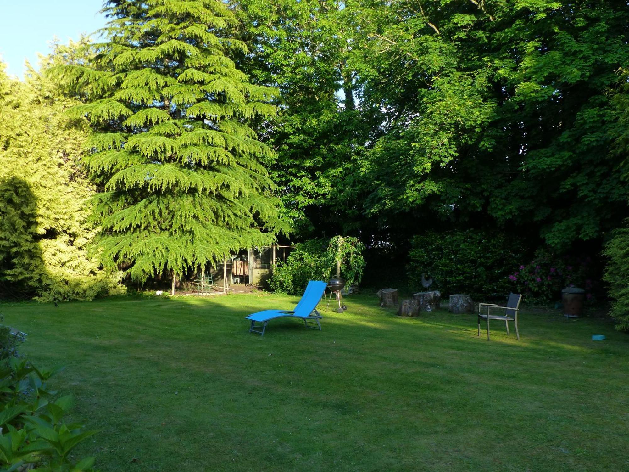 Pleudaniel Ailes Et Iles Bed & Breakfast エクステリア 写真