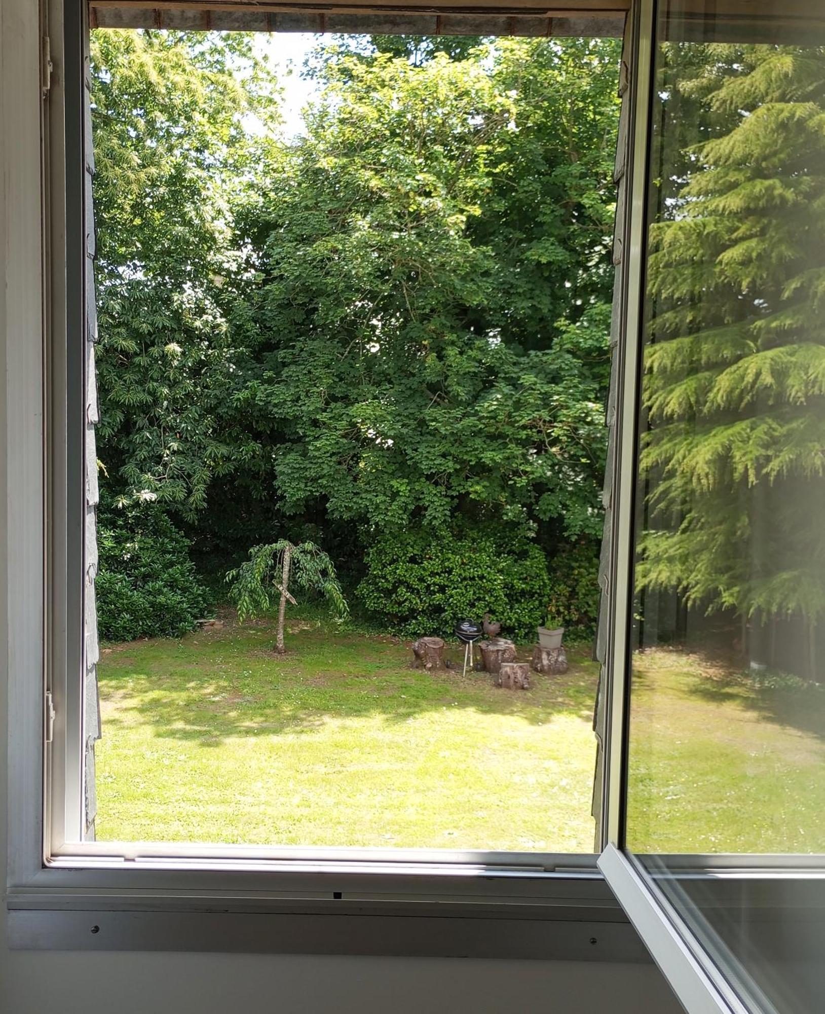 Pleudaniel Ailes Et Iles Bed & Breakfast エクステリア 写真